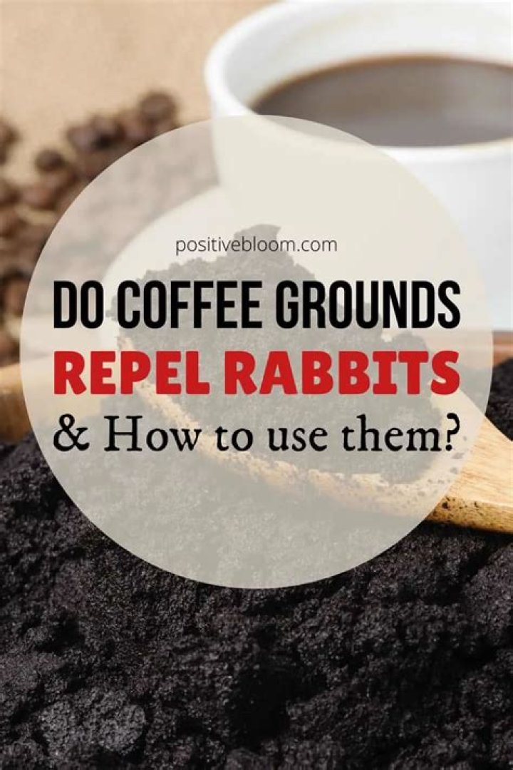 Do coffee grounds repel bears?