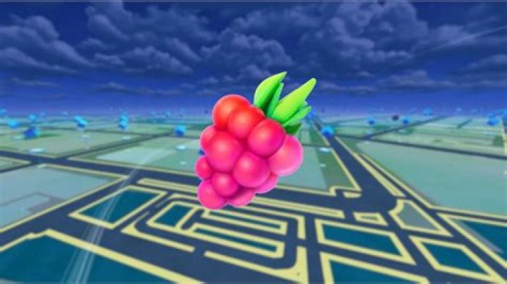 What happens if you feed your buddy a Pinap Berry?